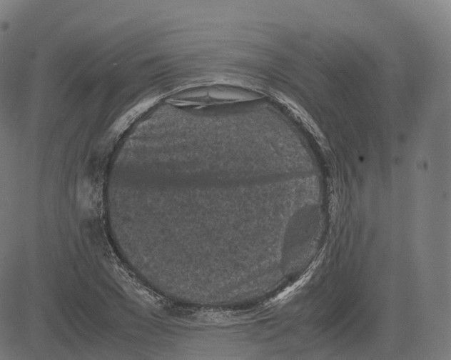 X0000083640977200703121715