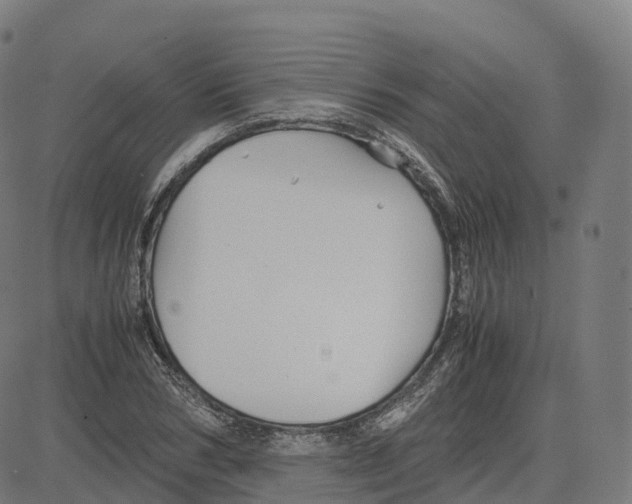 X0000083640978200703121715