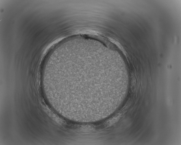 X0000083640979200703121715