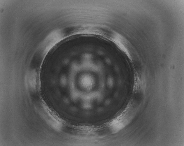 X0000083640980200703121715