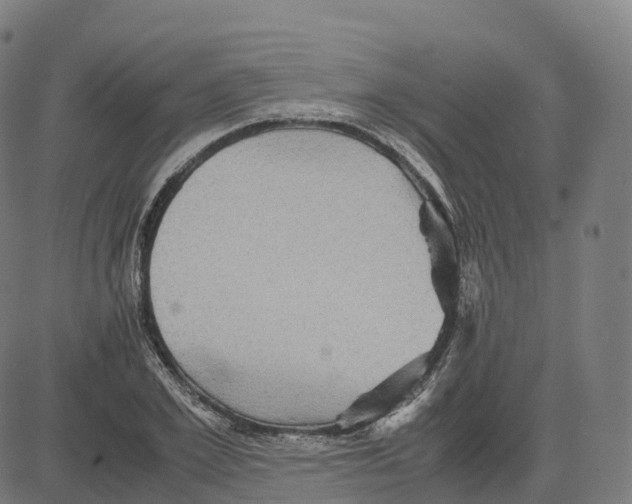 X0000083640981200703121715