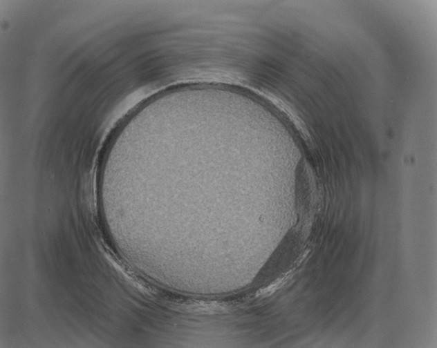 X0000083640982200703121715