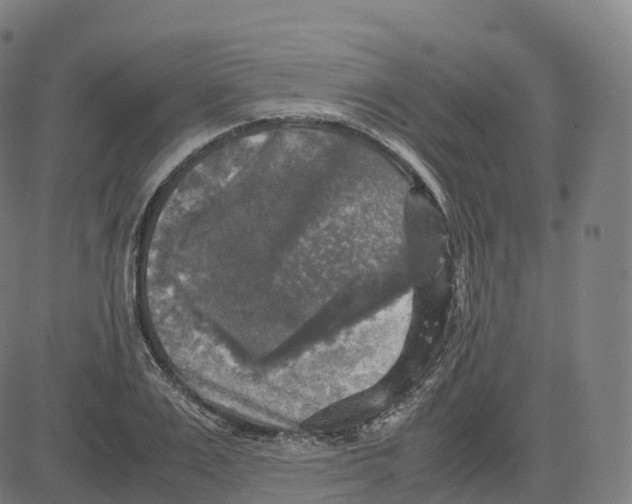 X0000083640983200703121715