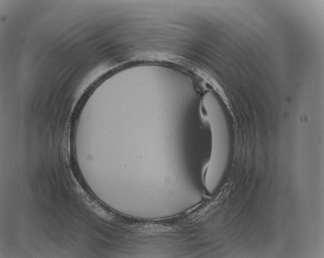 X0000083640984200703121715