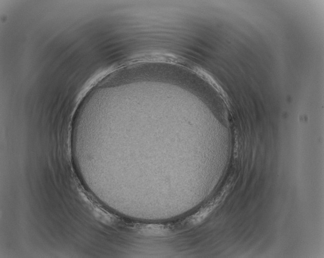 X0000083640986200703121715