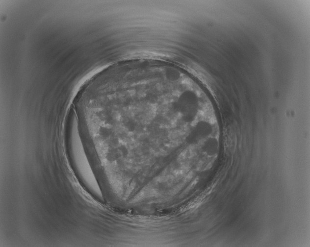 X0000083640987200703121715