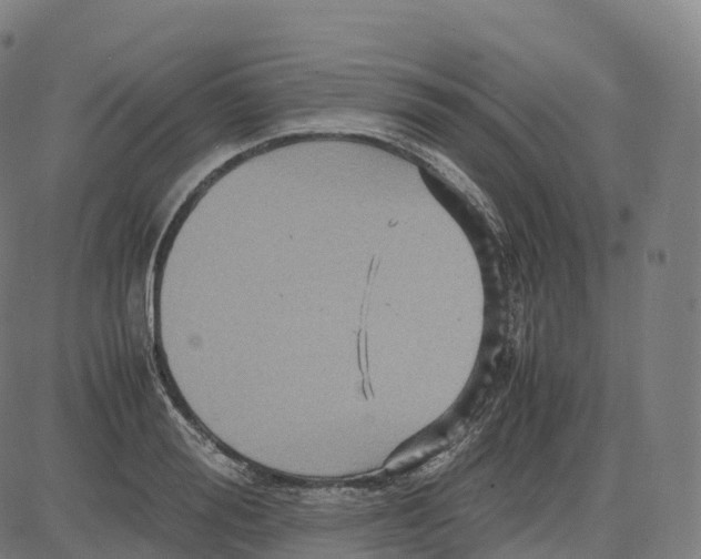 X0000083640988200703121715