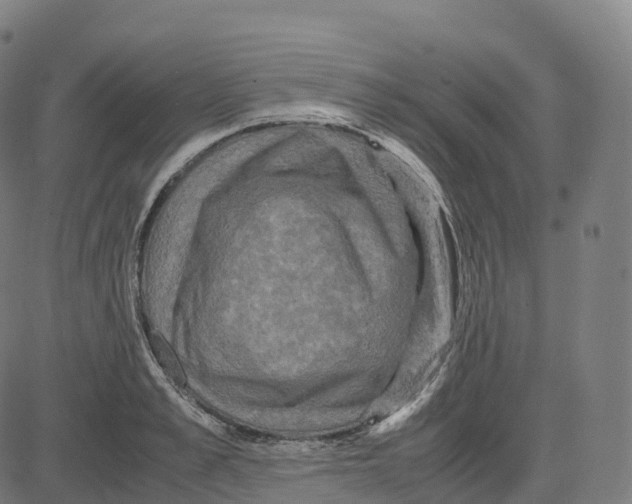 X0000083640989200703121715