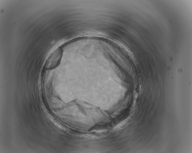 X0000083640990200703121715