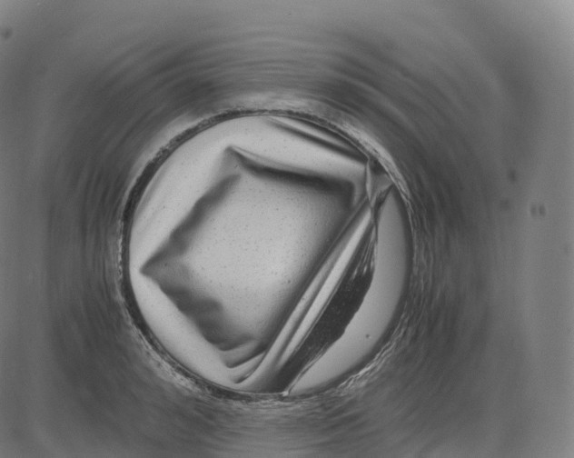 X0000083640992200703121715