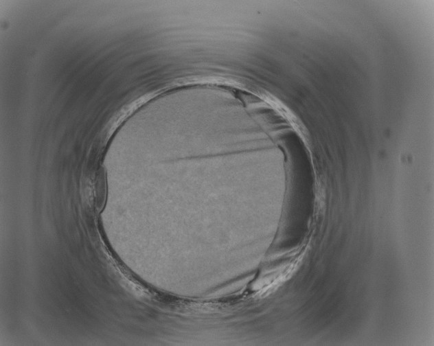 X0000083640993200703121715