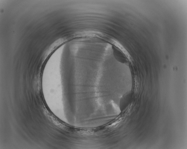 X0000083640994200703121715