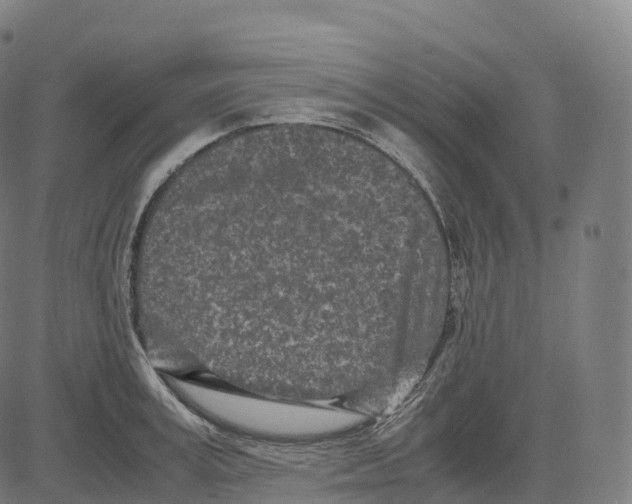 X0000083640995200703121715