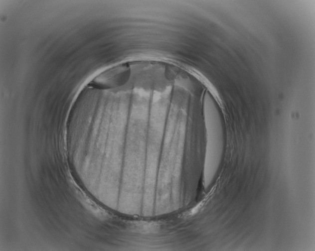 X0000083640996200703121715