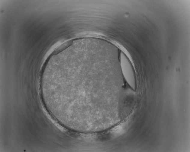 X0000083640997200703121715