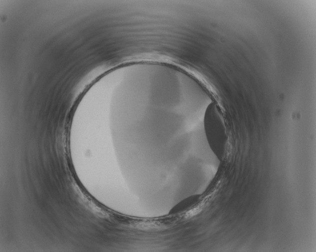 X0000083640998200703121715