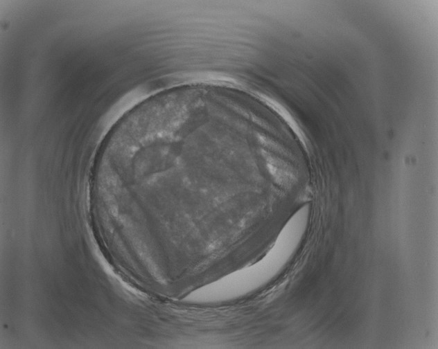 X0000083640999200703121715