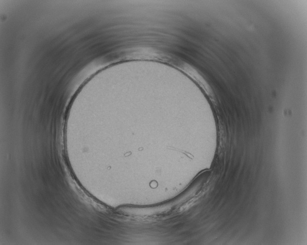 X0000083641000200703121715