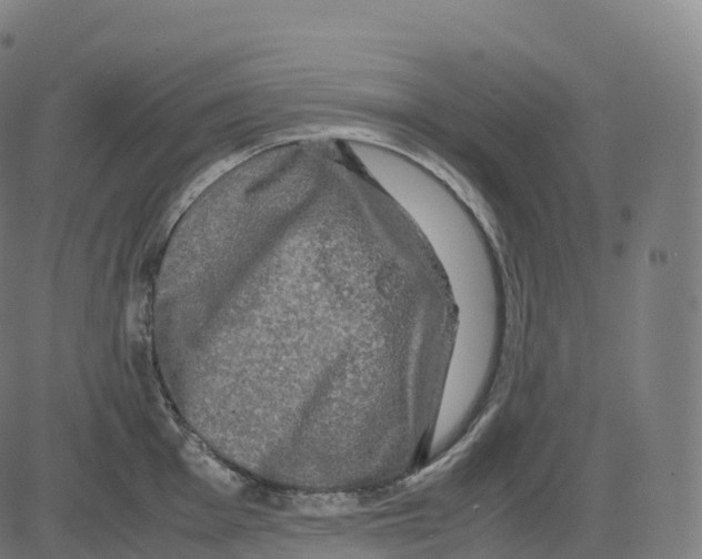 X0000083641001200703121715