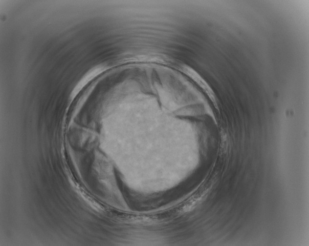 X0000083641002200703121715