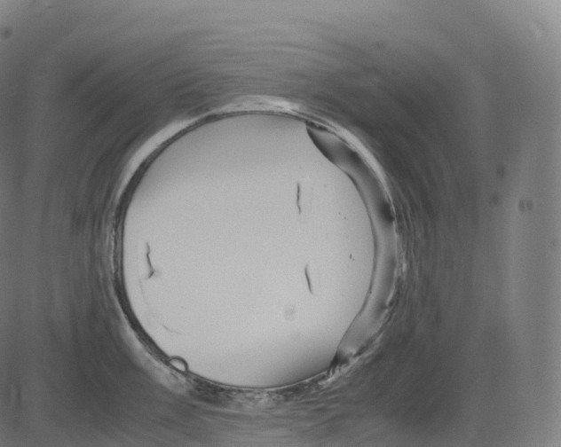 X0000083641003200703121715