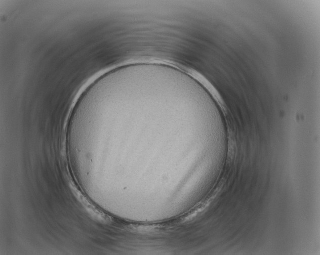 X0000083641004200703121715