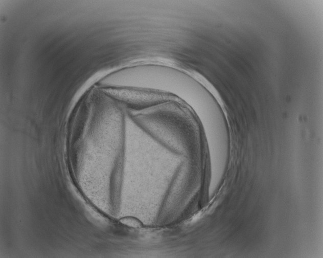 X0000083641005200703121715