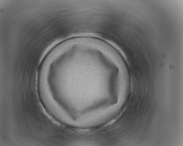 X0000083641006200703121715