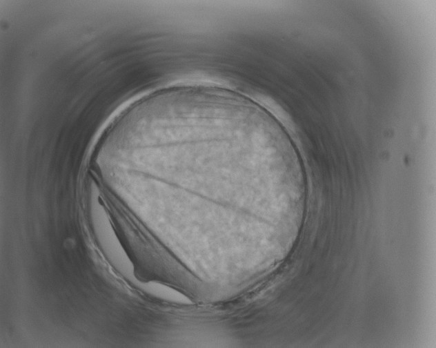 X0000083641008200703121715