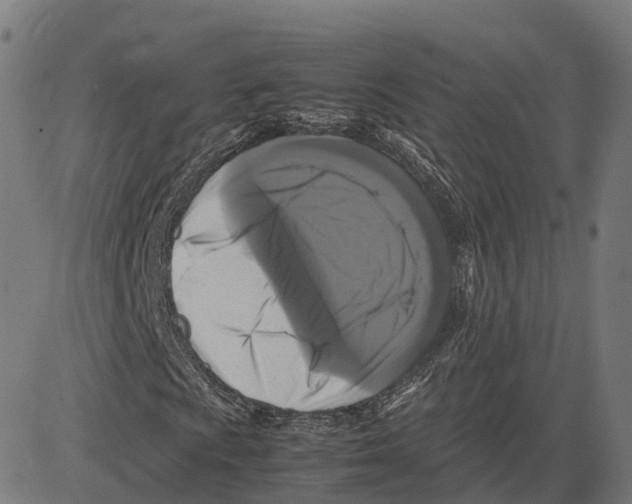 X0000083641009200703121714