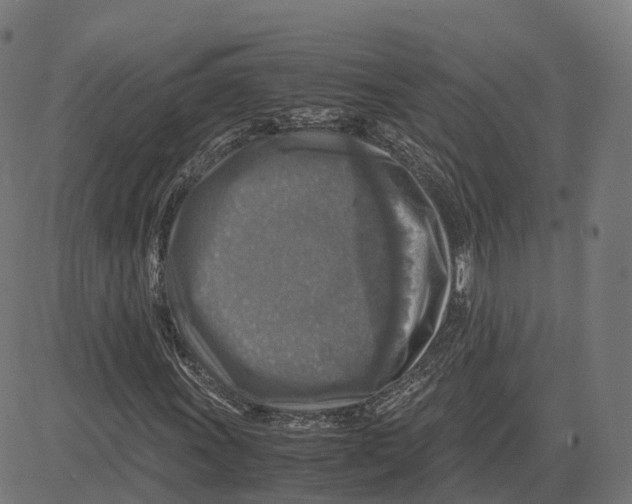 X0000083641011200703121714