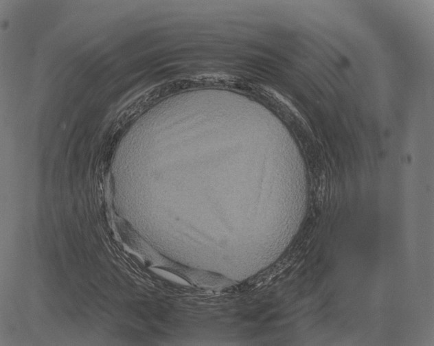 X0000083641015200703121714