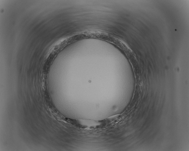 X0000083641016200703121714