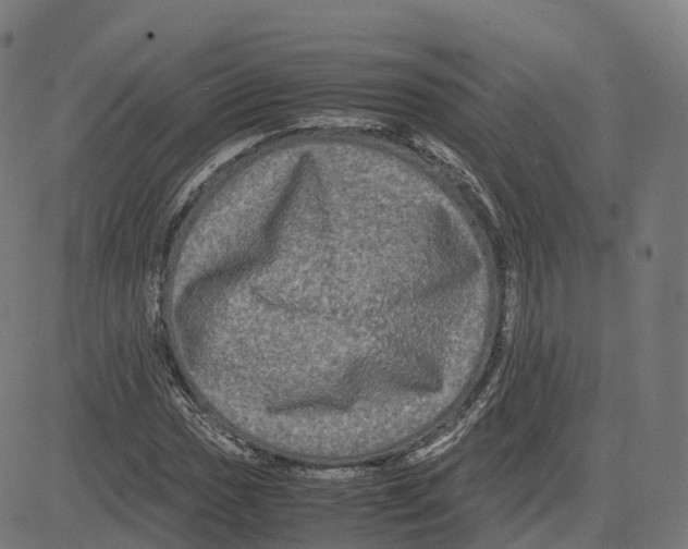 X0000083641017200703121714