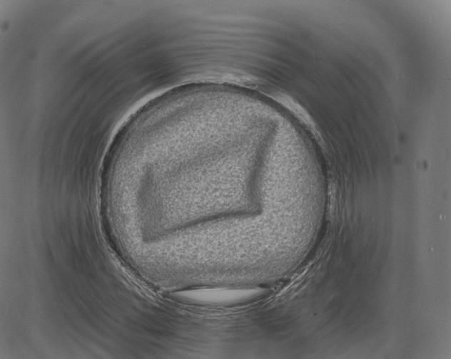 X0000083641020200703121714