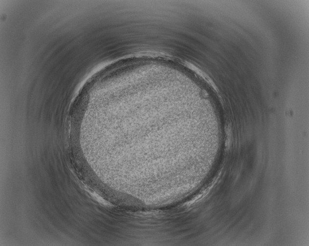 X0000083641021200703121714