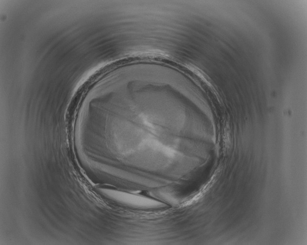 X0000083641022200703121714