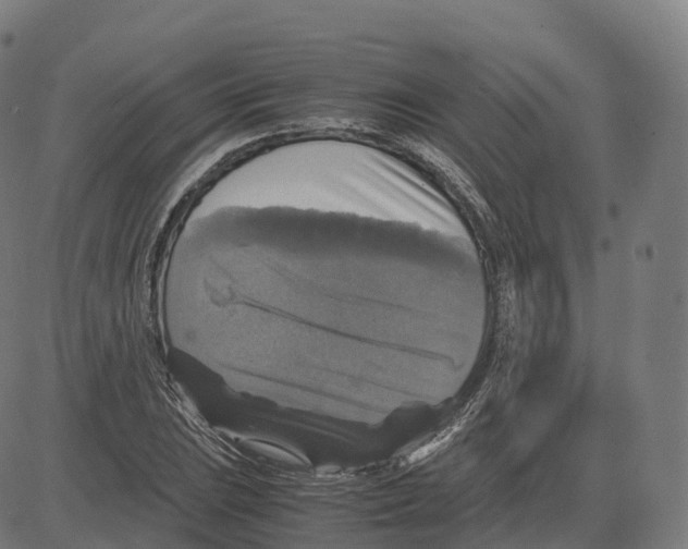 X0000083641023200703121714