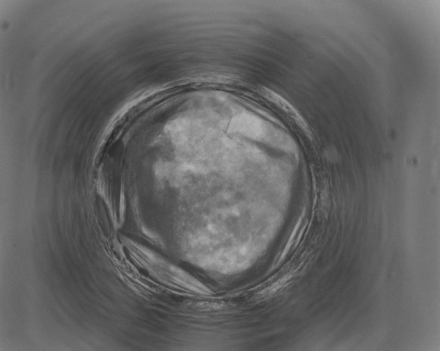 X0000083641027200703121714