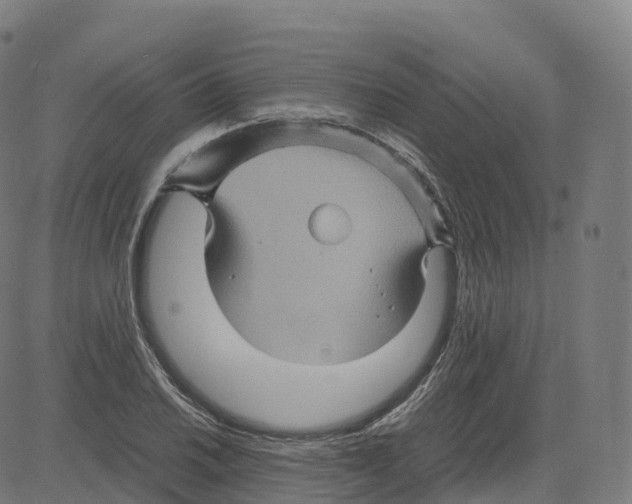 X0000083641030200703121714