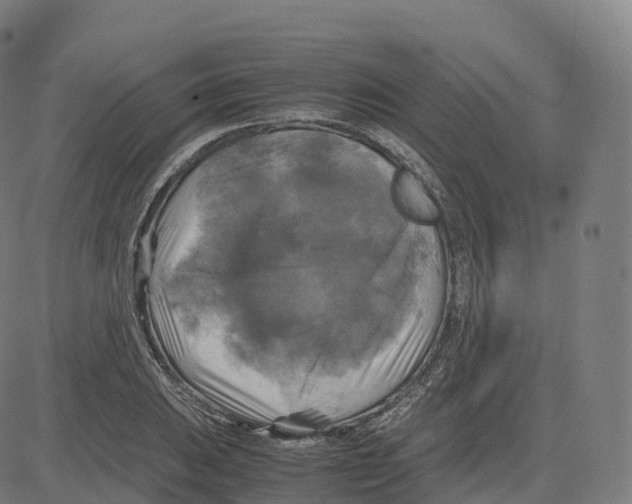 X0000083641031200703121714