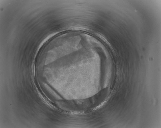 X0000083641032200703121714