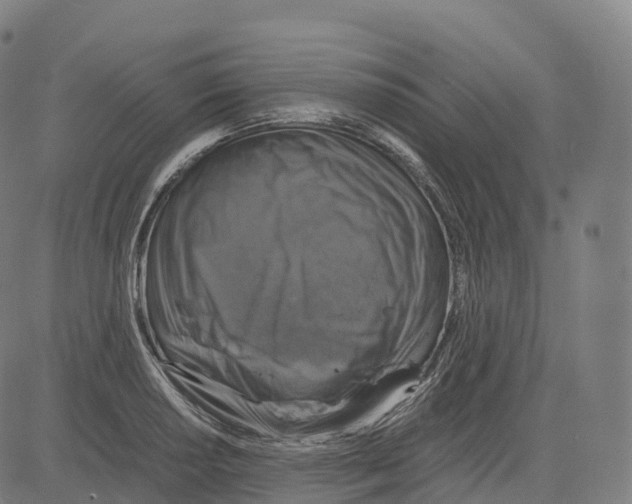 X0000083641034200703121714