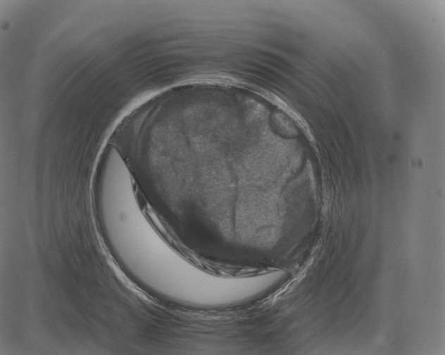 X0000083641037200703121714