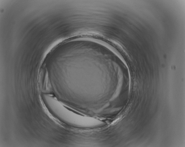 X0000083641038200703121714