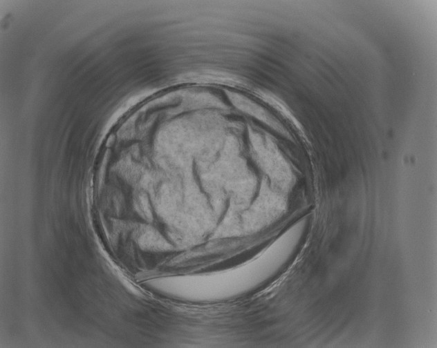 X0000083641040200703121714