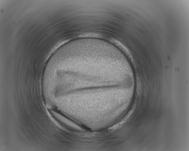 X0000083641041200703121714