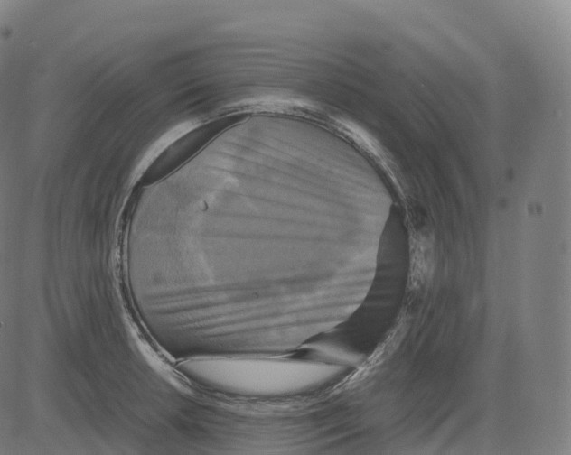 X0000083641042200703121714