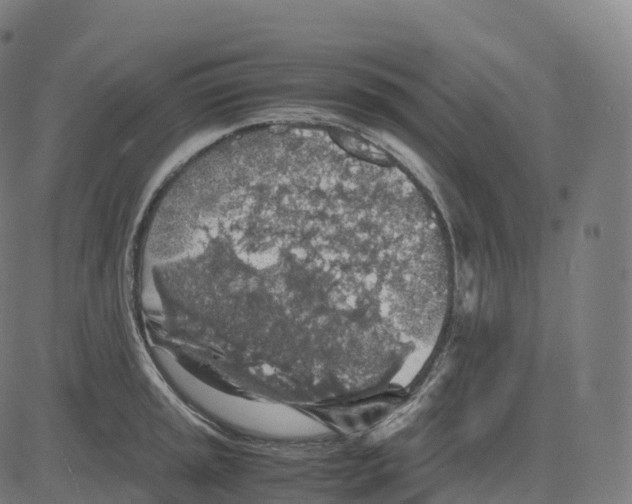 X0000083641045200703121714