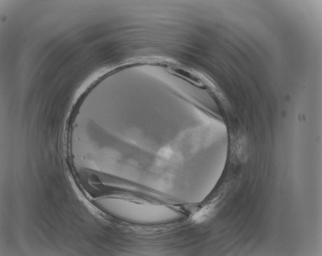 X0000083641046200703121714